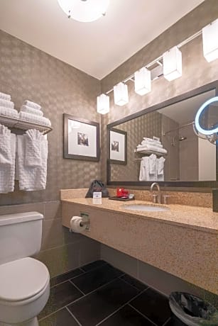 Accessibility - 1 Queen, Roll-in Shower, Nonsmoking