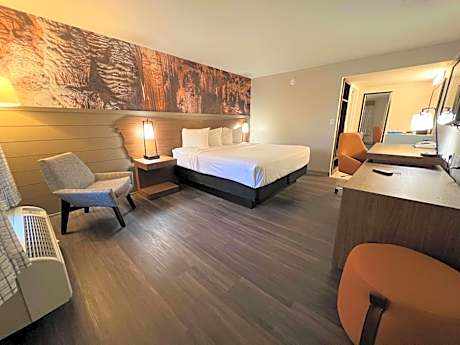 King Theme Room with Walk In Shower - Non-Smoking