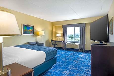 King Room - Disability Access