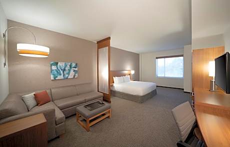 King Room with Sofa Bed and Accessible Tub