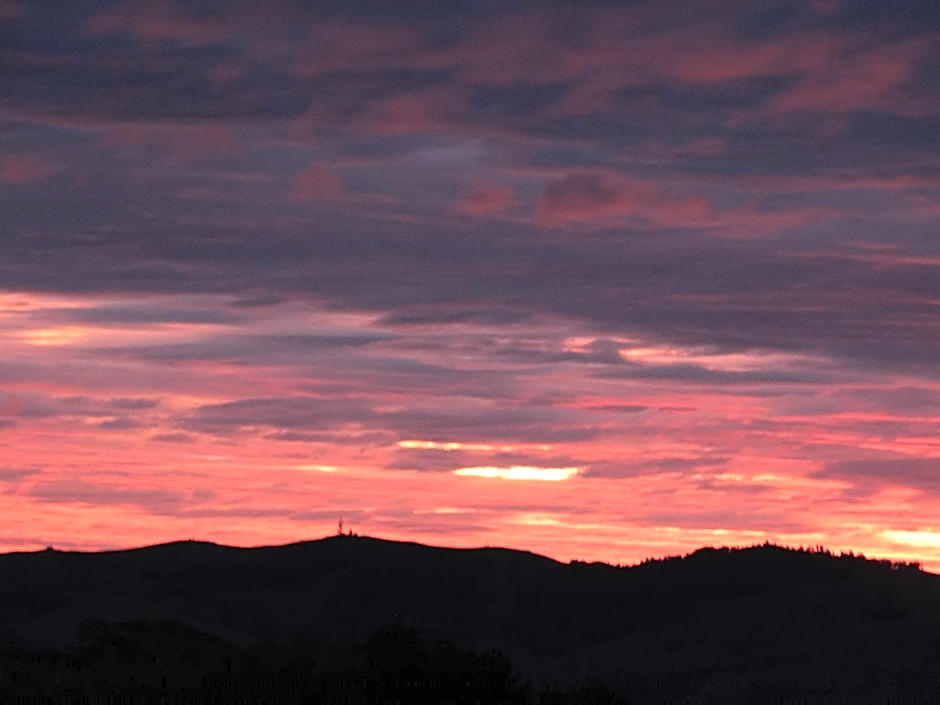 Kauri Lodge Karapiro