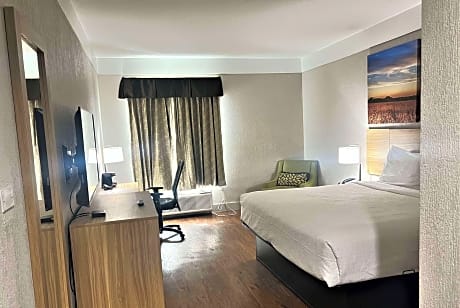 1 King Bed Studio Suite Non-Smoking