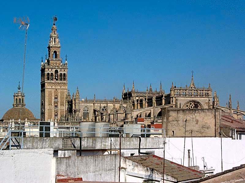 Adriano Boutique Sevilla