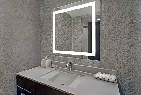 1King Hearing Accessible Studio Suite Nosmok