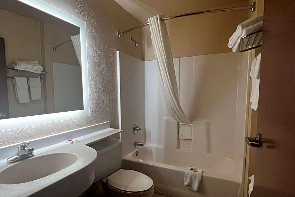 Microtel Inn & Suites By Wyndham Houston