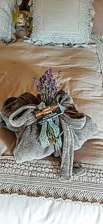 Deluxe Double or Twin Room with River View