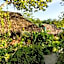 Rabbit Bungalow