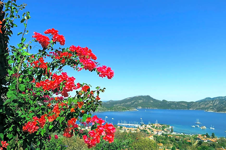 Swan Lake Hotel - Adult Only