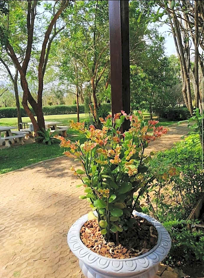 Casa Khaoyai Bed&Breakfast