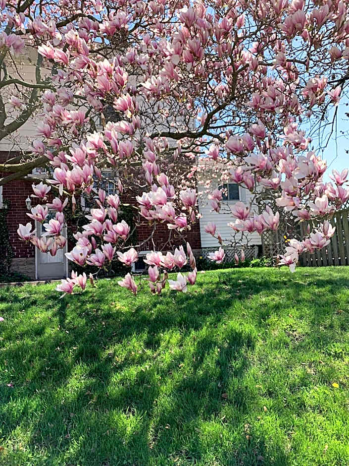 Strathaird Bed and Breakfast