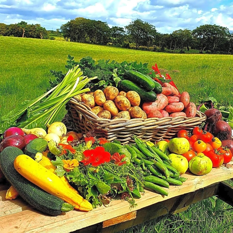 Ballylagan Organic Farm