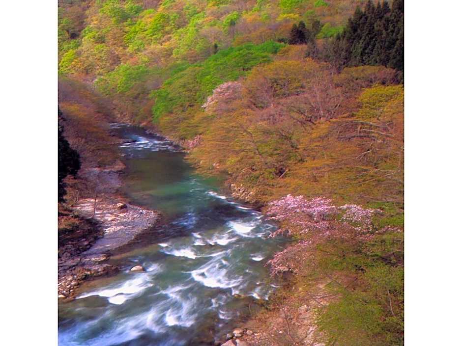 Oyasukyo Onsen Ryokan Tarobee - Vacation STAY 56803v