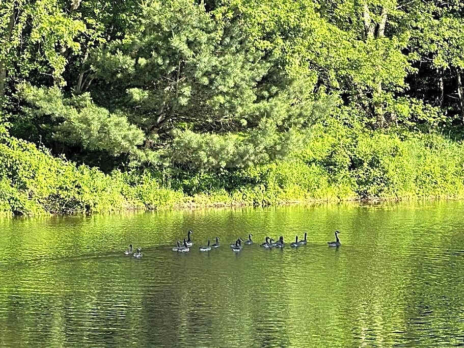 WELCOME TO BURNT RIVER ESTATE