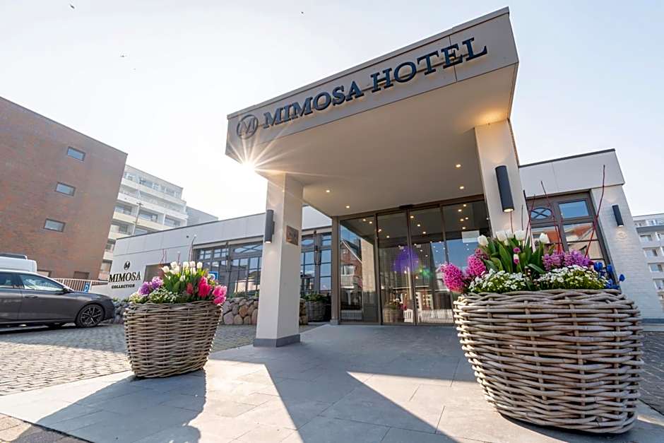 Mimosa Hotel