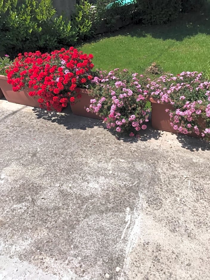 B&B Adema – Agropoli, UT