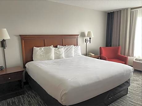 Suite King Bed Mobility Access Roll In Shower Sofabed For One Pax Fridge NSMK Full Breakfast