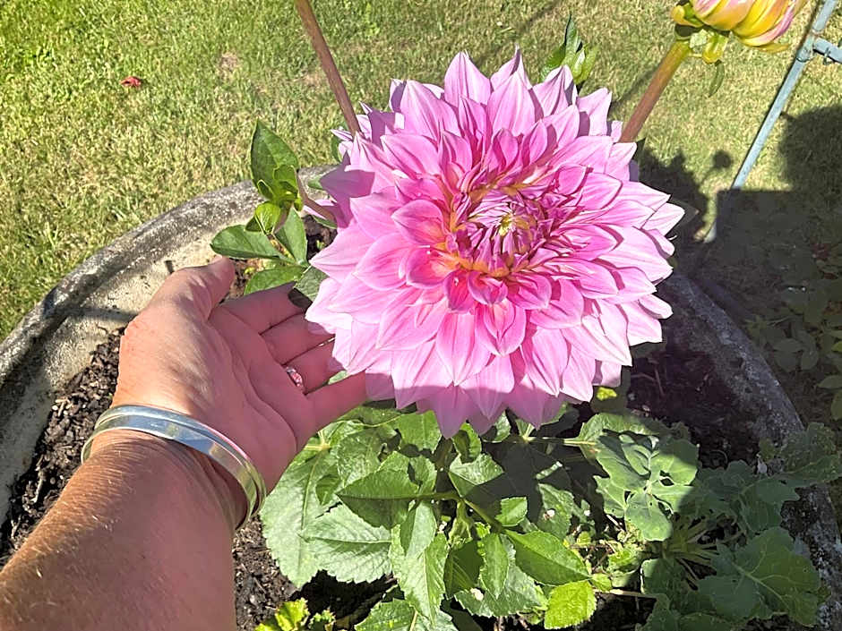 Le Jardin de Rose 24 FEUILLEBERT Romagne 86700