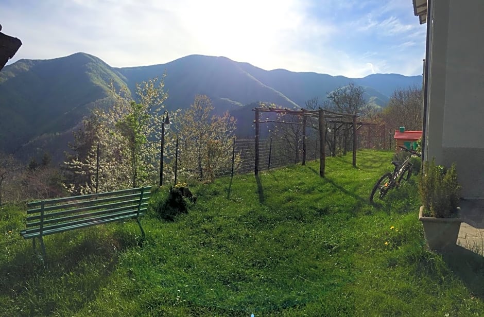 Albergo Ristorante La Selva