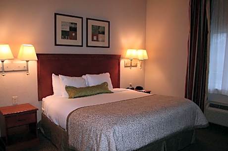 Studio Suite 1 King Bed Smoking