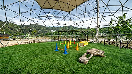 inje darani pet pension