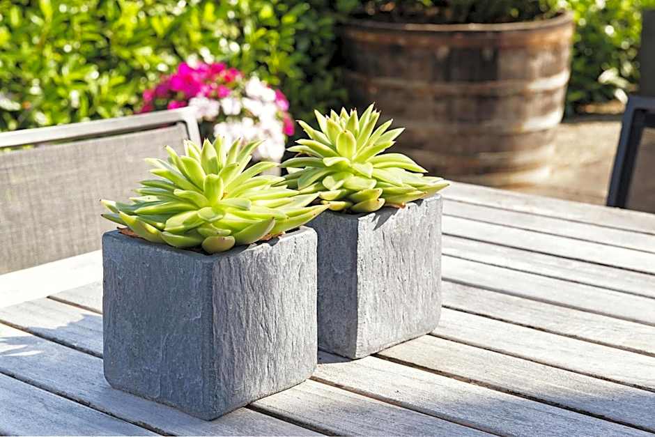 Weingut & Gästehaus Christoph Clüsserath