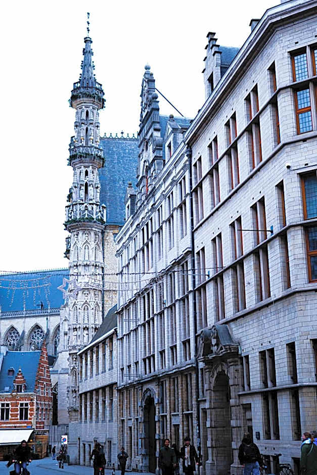 Hotel Professor Leuven Centrum