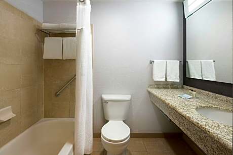One-Bedroom Apartment with King Bed, Bathtub and Sofa Bed - Mobility Access/Hearing Accessible