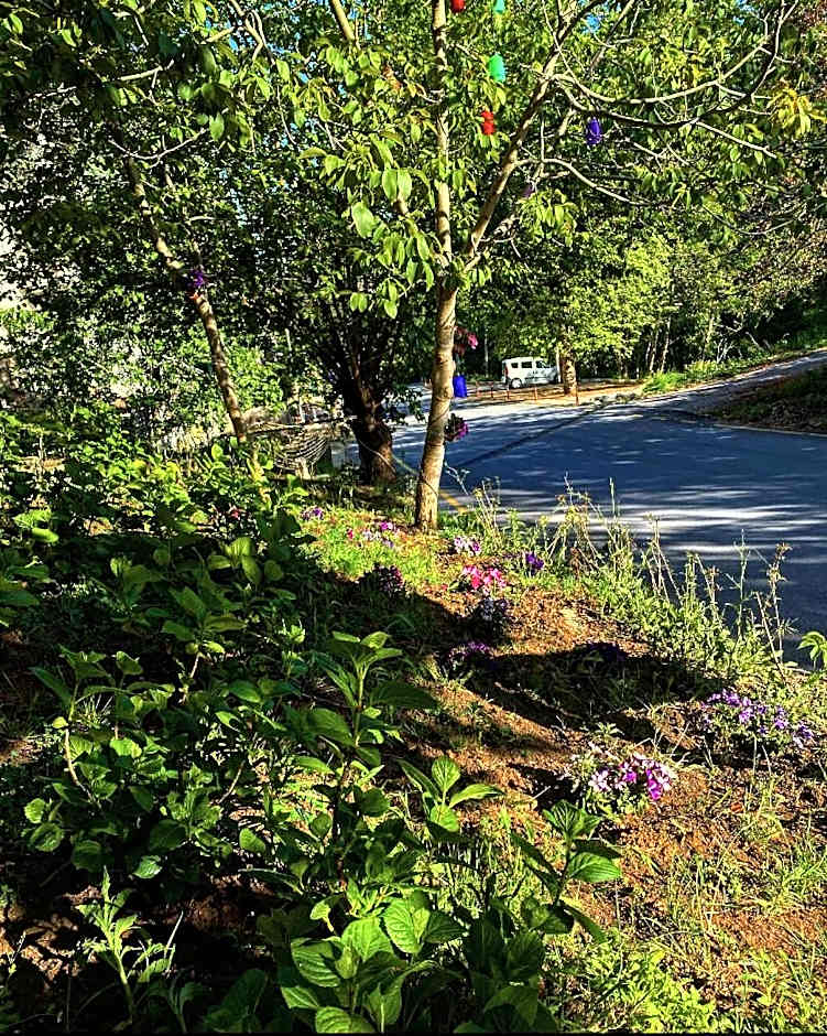 Kapri Termal Hotel & Kaplica Yalova