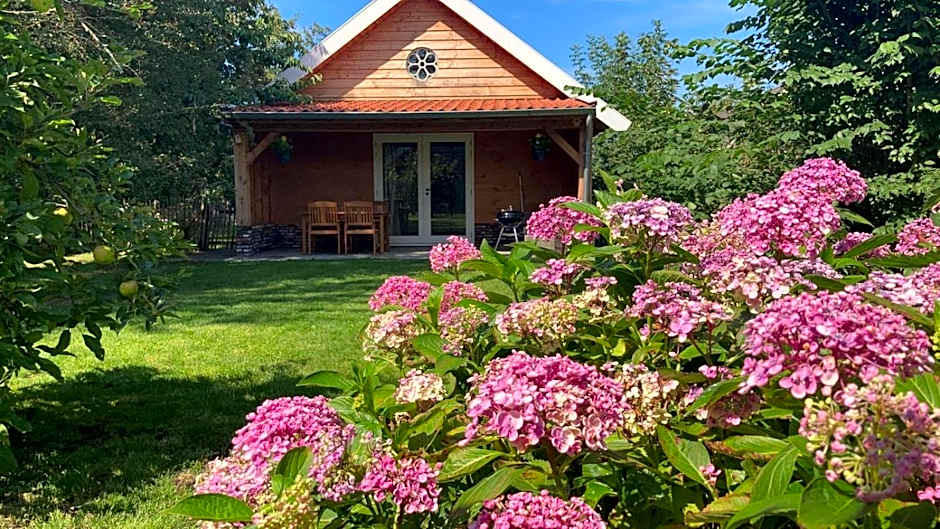 Lodges near the Rhine - Sustainable Residence