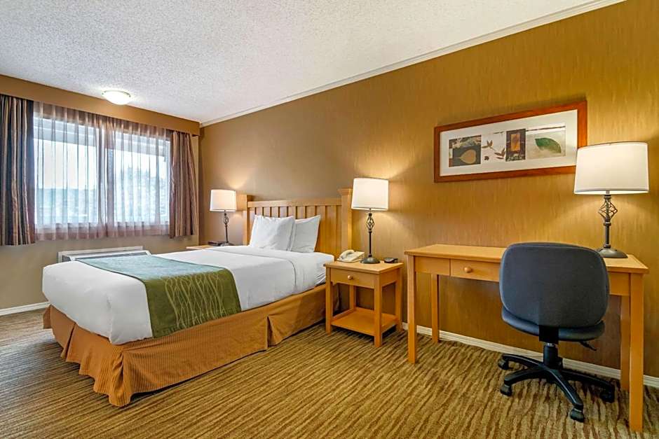 Econo Lodge Inn & Suites