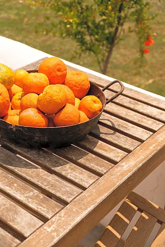 Finca Santa Teresa, Casa Granada