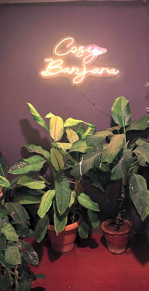 Cosy Banjara Service Apartments & Guest Houses