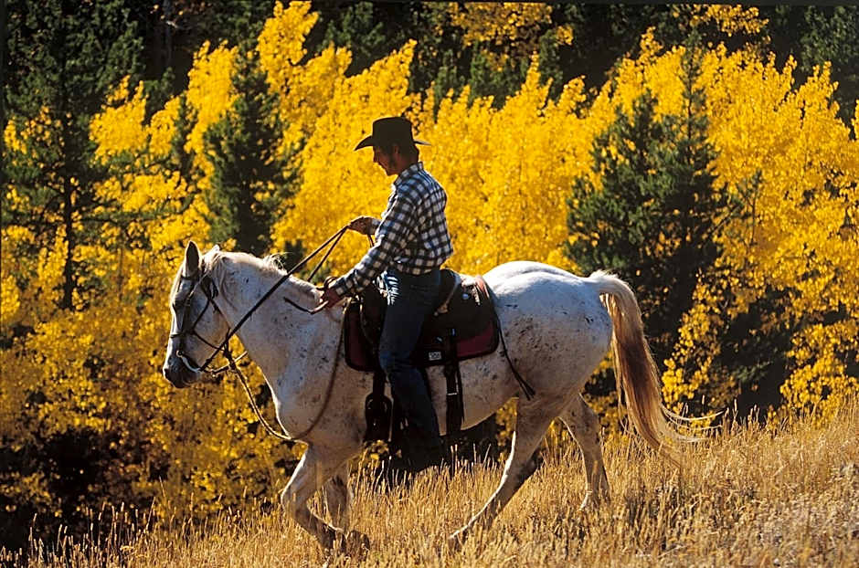 Falcon Crest Lodge by CLIQUE