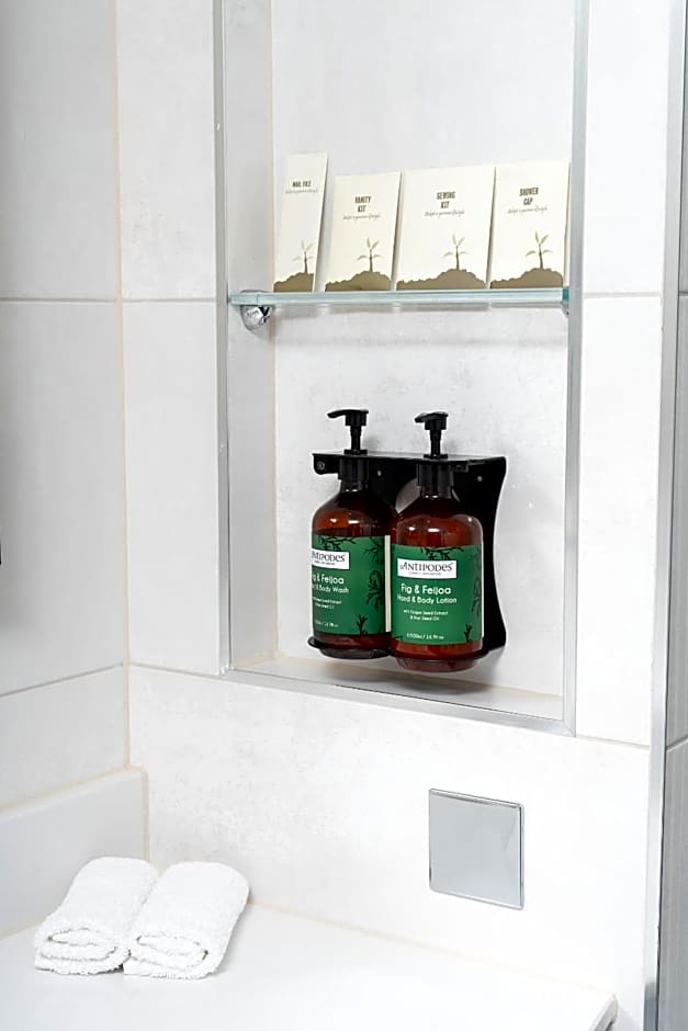 Hyatt Regency London Albert Embankment