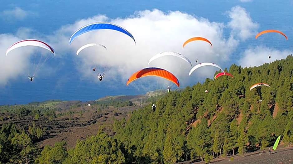 Apartamentos Miranda