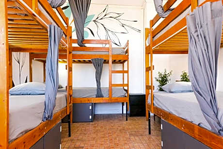Bunk Bed in Female Dormitory Room
