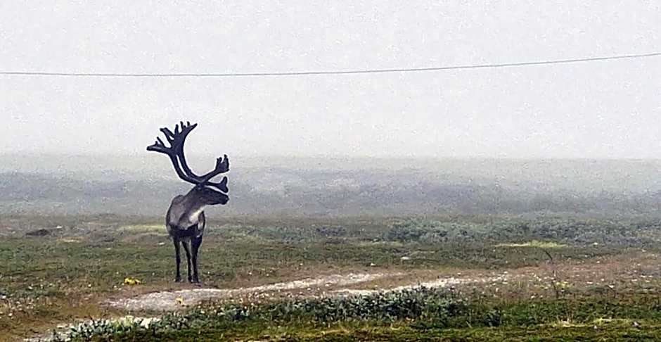 Vardø Hotel by Destination Vardø
