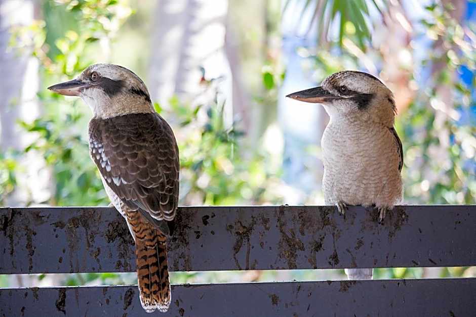 Halifax Holiday Park