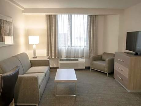 1 King Bed 1 Bedroom Suite