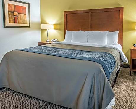 1 King Bed, Nonsmoking