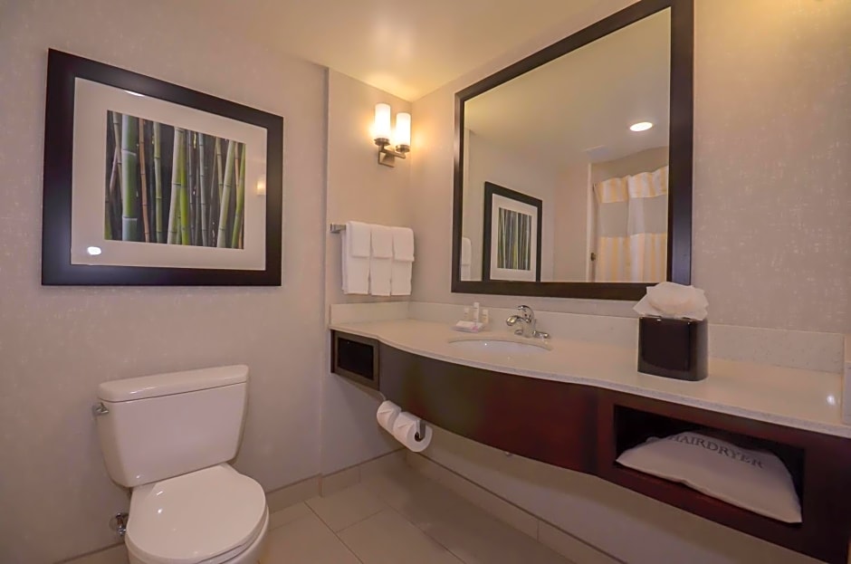 Hilton Garden Inn and Fayetteville Convention Center