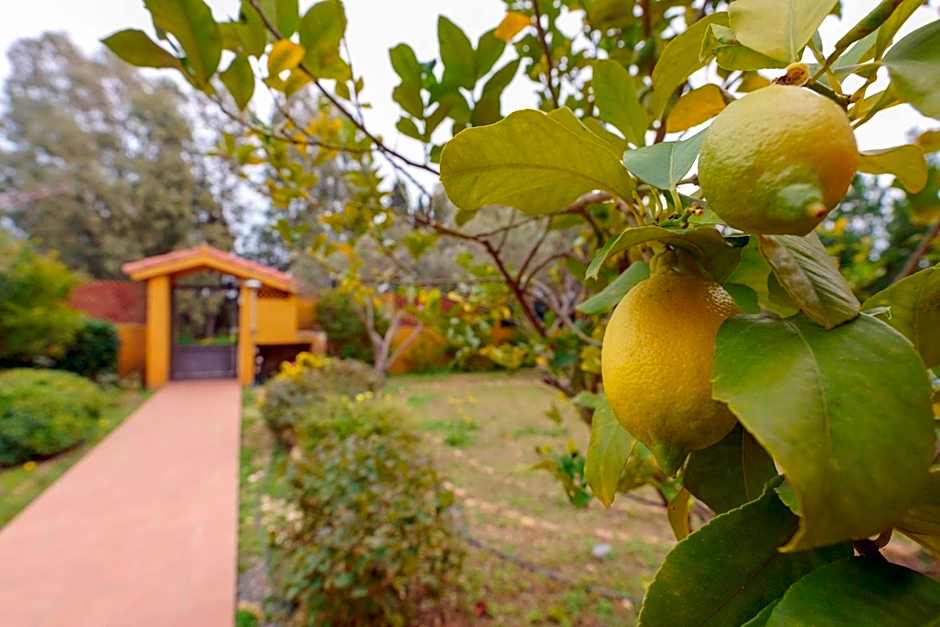 B&B Gassa d'Amante