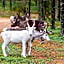 Holiday Club Kuusamon Tropiikki
