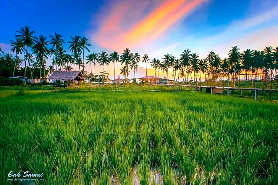 I - Talay Taling Ngam Samui - เขา ป่า นา เล ตลิ่งงาม สมุย