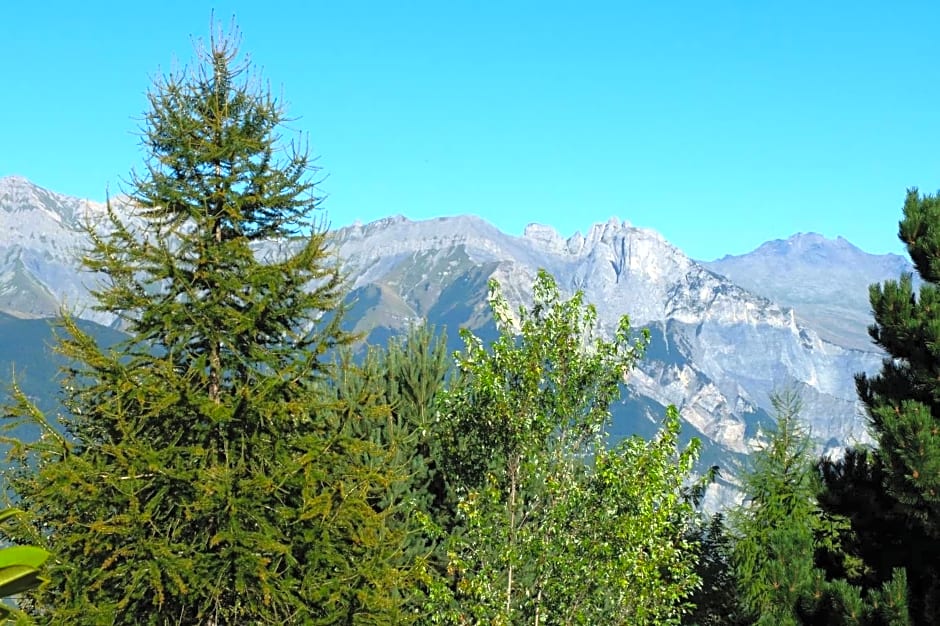 Chambre d'hôtes - La Maurillonnette