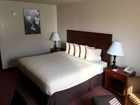 Single Room - Disability Access