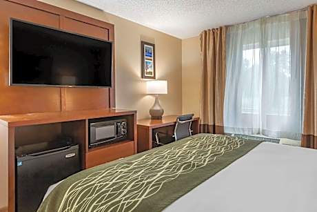 1 Queen Bed, Nonsmoking, Accessible