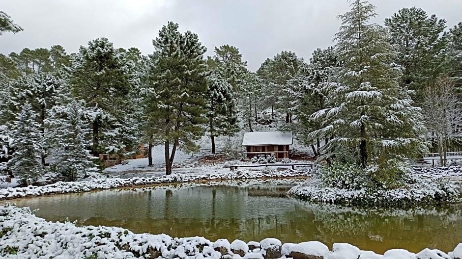 La cabaña del lago en ZAFIRO LAGUNAZO Parque Natural del Río Mundo