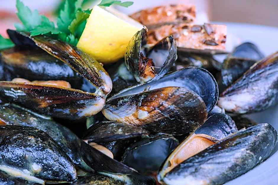 Boat Country Inn and Restaurant