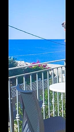 Affittacamere delle rose